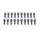 20 Piece Hex Drive Lug Bolt Set, 23-24 Dodge Hornet