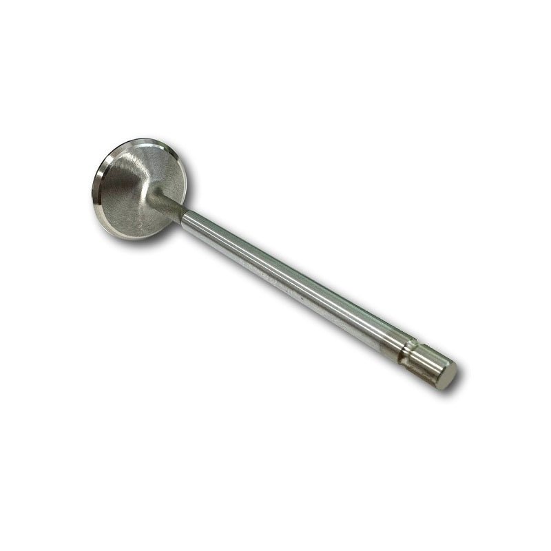 Oversized Stainless Steel Valve Set, 95-05 Neon SOHC 2.0L