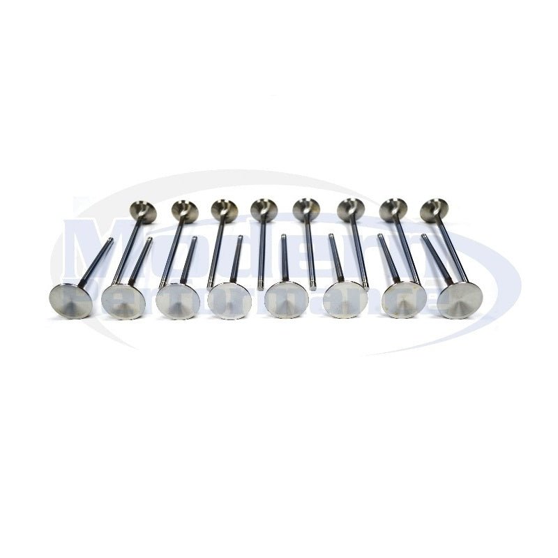Oversized Stainless Steel Valve Set, 95-05 Neon SOHC 2.0L